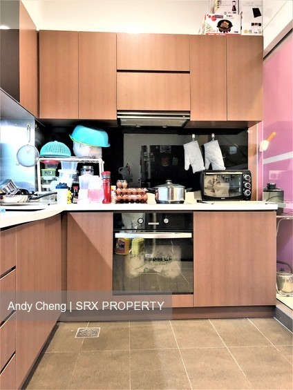 Jansen 8 (D19), Terrace #191695022